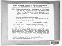 Image Associated With the Occurence